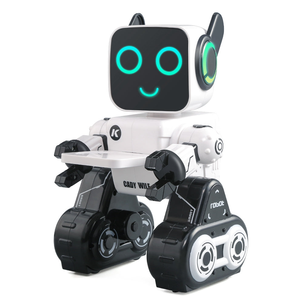 Smart Singing Dancing Robot