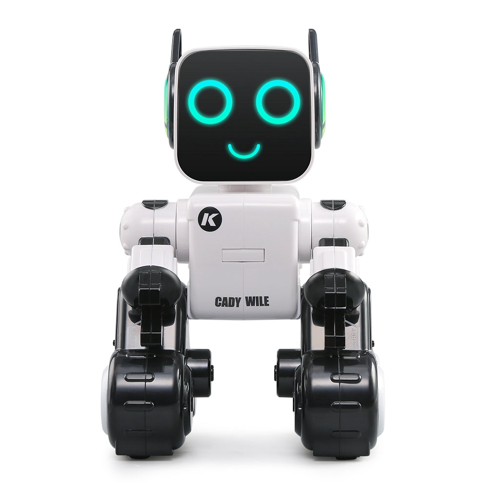 Smart Singing Dancing Robot